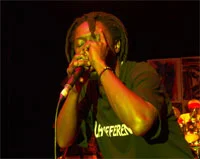 timshel-01