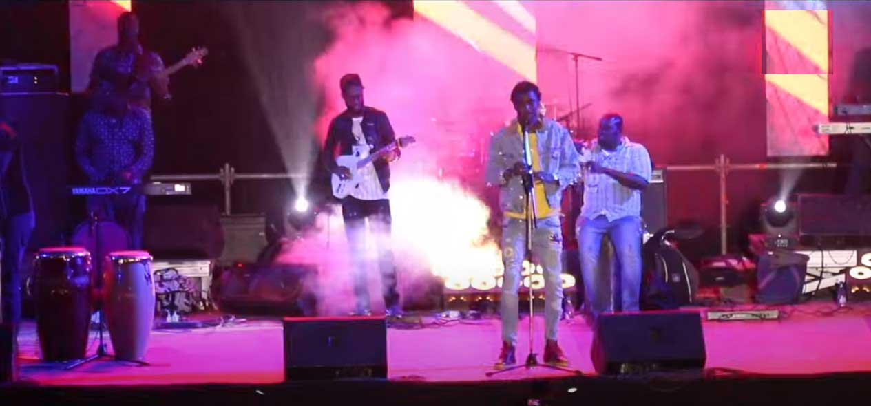 Concert de Davido à Dakar: La prestation explosive de Wally Seck