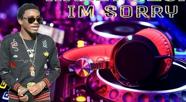 Découvrez le nouveau single de Wally Seck : ''Im Sorry''